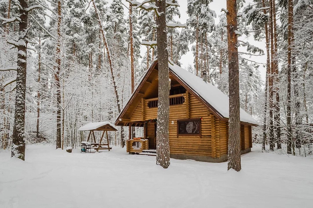 Коттедж-клуб Брусника, Ленинградская область: фото 2