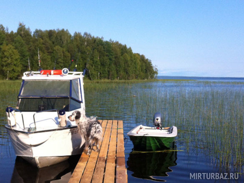 Чистая Карелия, Республика Карелия: фото 3
