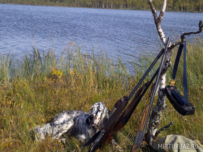 Чистая Карелия, Республика Карелия: фото 4