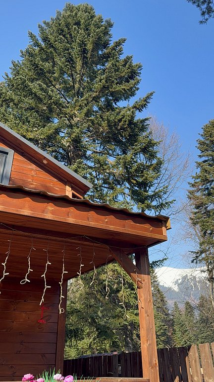 Фото из отзыва от 15.11.2025