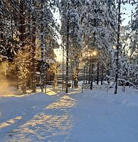Двухместный коттедж Premium двуспальная кровать, Коттедж Солнце Карелии, Медвежьегорск