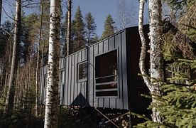 Четырёхместный коттедж с красивым видом из окна, Частный дом Баpнxауc в Сосновом Бору, Пряжа
