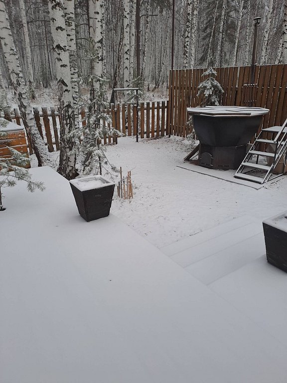 Фото из отзыва от 05.11.2025