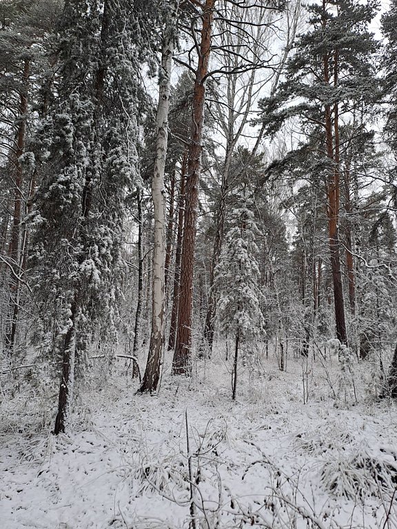 Фото из отзыва от 05.11.2025