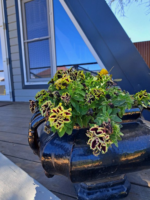 Частный Домик у Реки, Астраханская область: фото 2