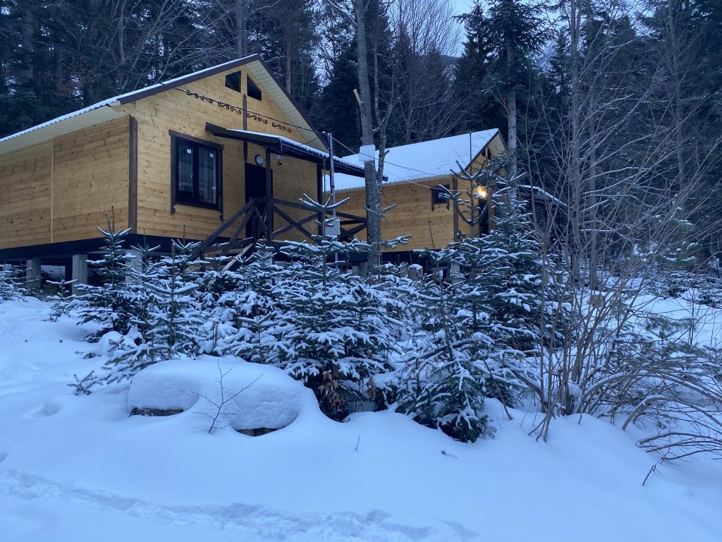 Поляна Зубров, Республика Карачаево-Черкесия: фото 4
