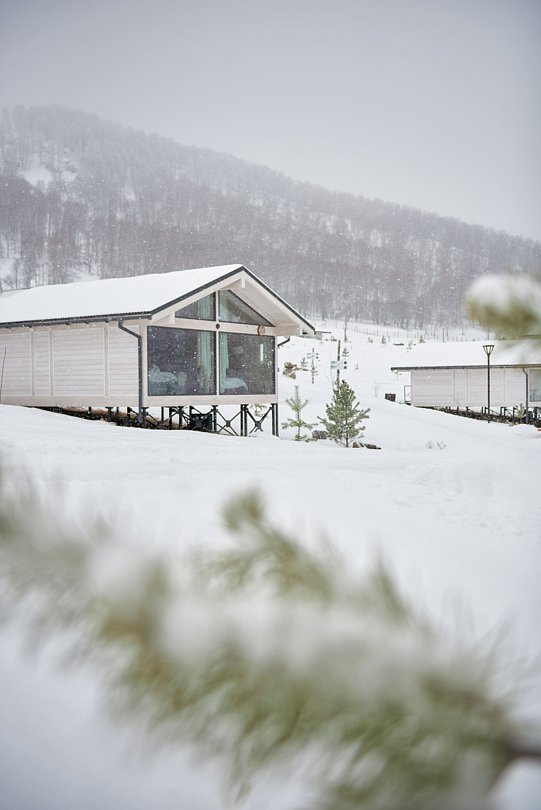 Маральник Altai Palace, Алтайский край: фото 3