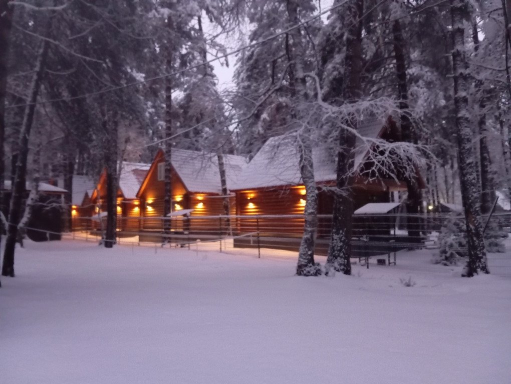Архыз Форест Эко, Республика Карачаево-Черкесия: фото 2