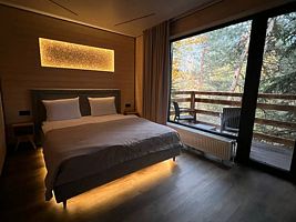 Двухместный номер Standard с балконом и с видом на горы двуспальная кровать, База отдыха Гринвальд 1474, Архыз