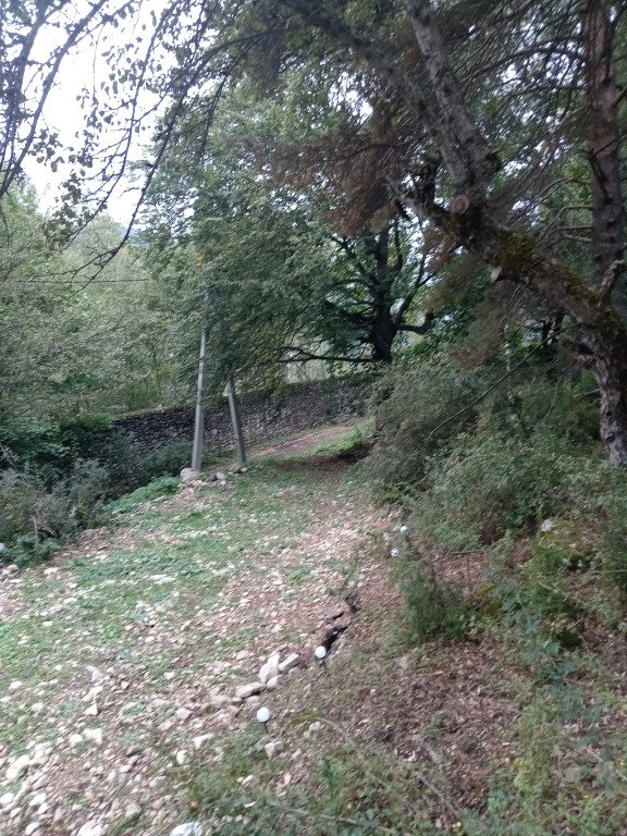 Частный дом Лесная аура, Республика Карачаево-Черкесия: фото 4