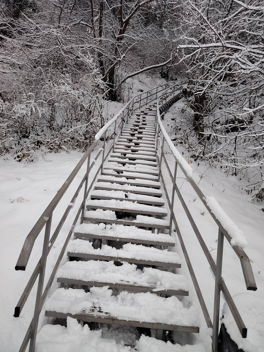 Фото 3 из отзыва о базе отдыха Дух Тайги