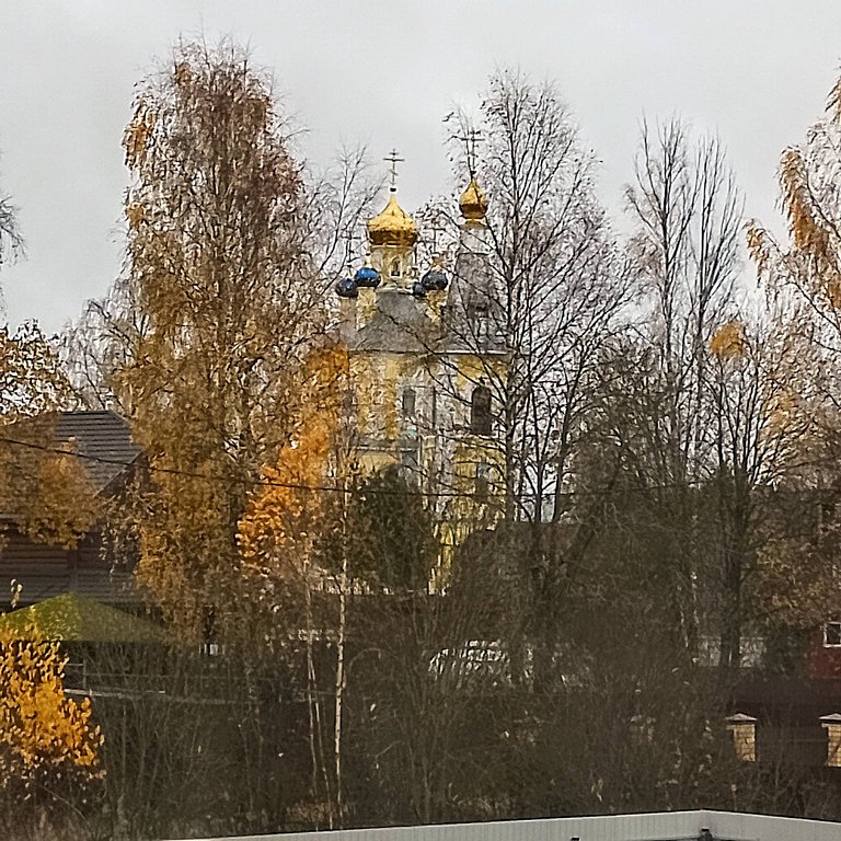 Фото из отзыва от 28.10.2025