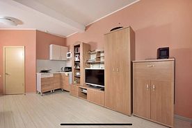 Коттедж с красивым видом из окна, Частный Дом Таунхаус с Мангалом и Террасой, деревня Зеленая Поляна