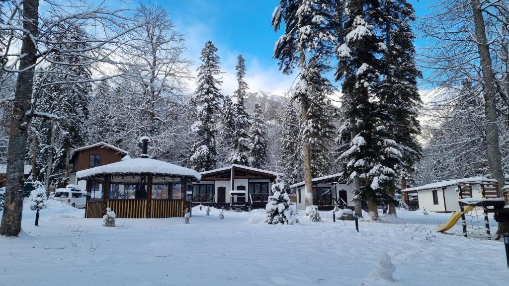 Апартаменты Дача, Республика Карачаево-Черкесия: фото 3