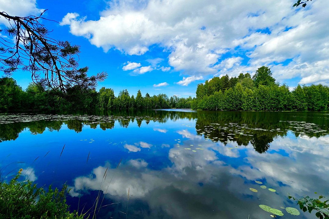 Хэйлун, Ленинградская область: фото 5