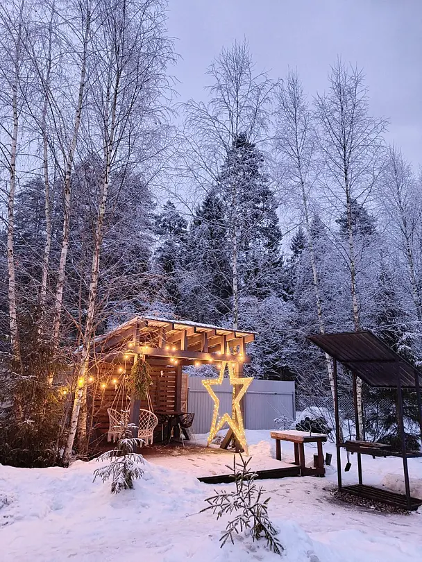 Hide Forest, Московская область: фото 3