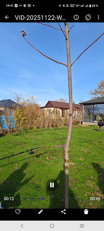 Фото из отзыва от 22.11.2025