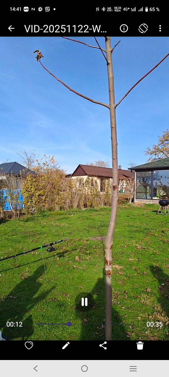 Фото 2 из отзыва о гостевом доме Гораль