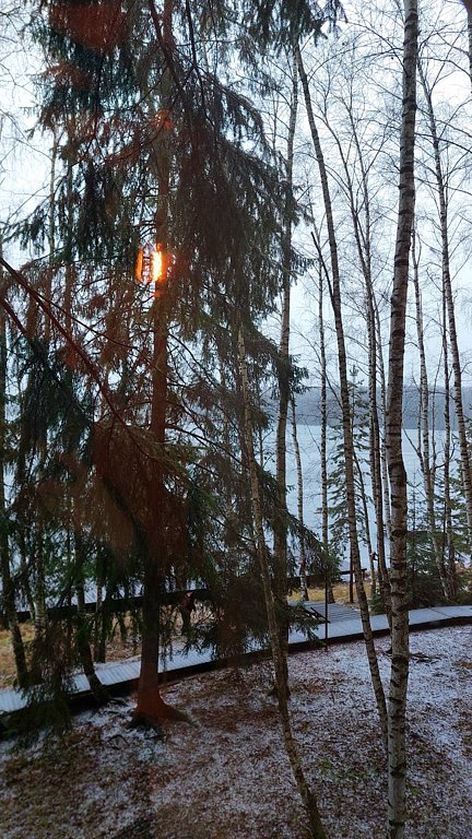 Фото из отзыва от 23.11.2025