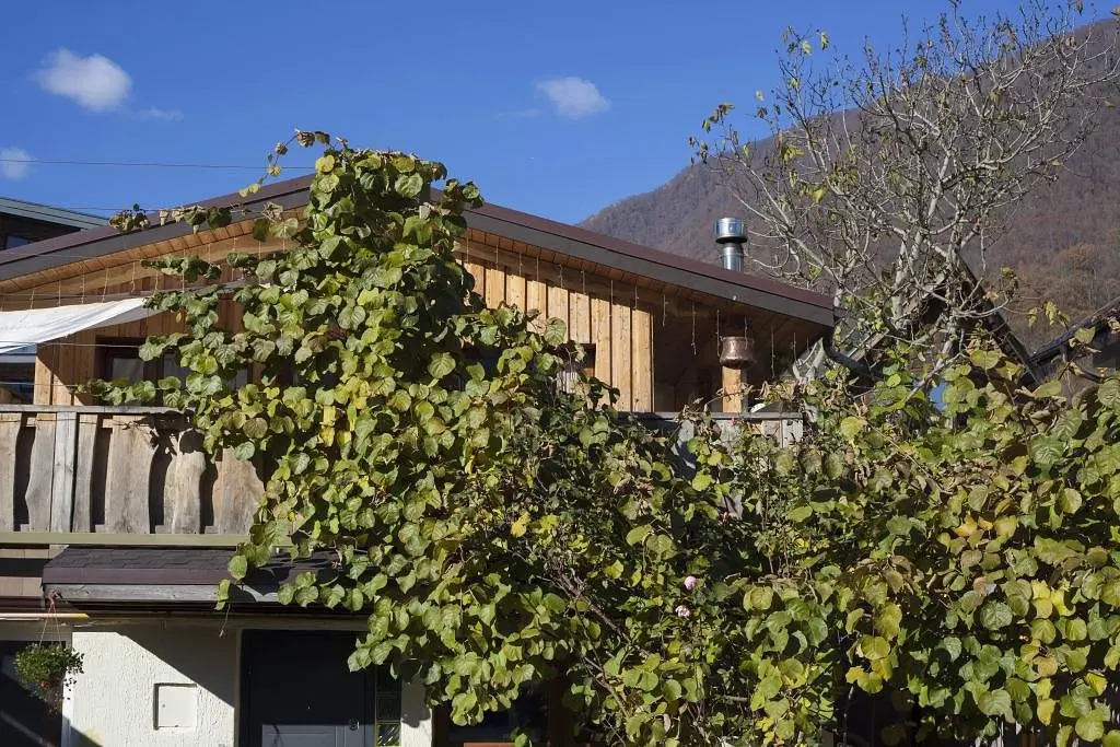 Частный Дом Zen Lodge Красная Поляна, Красная поляна, Краснодарский край