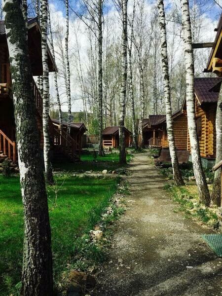 Изба, Алтайский край: фото 4