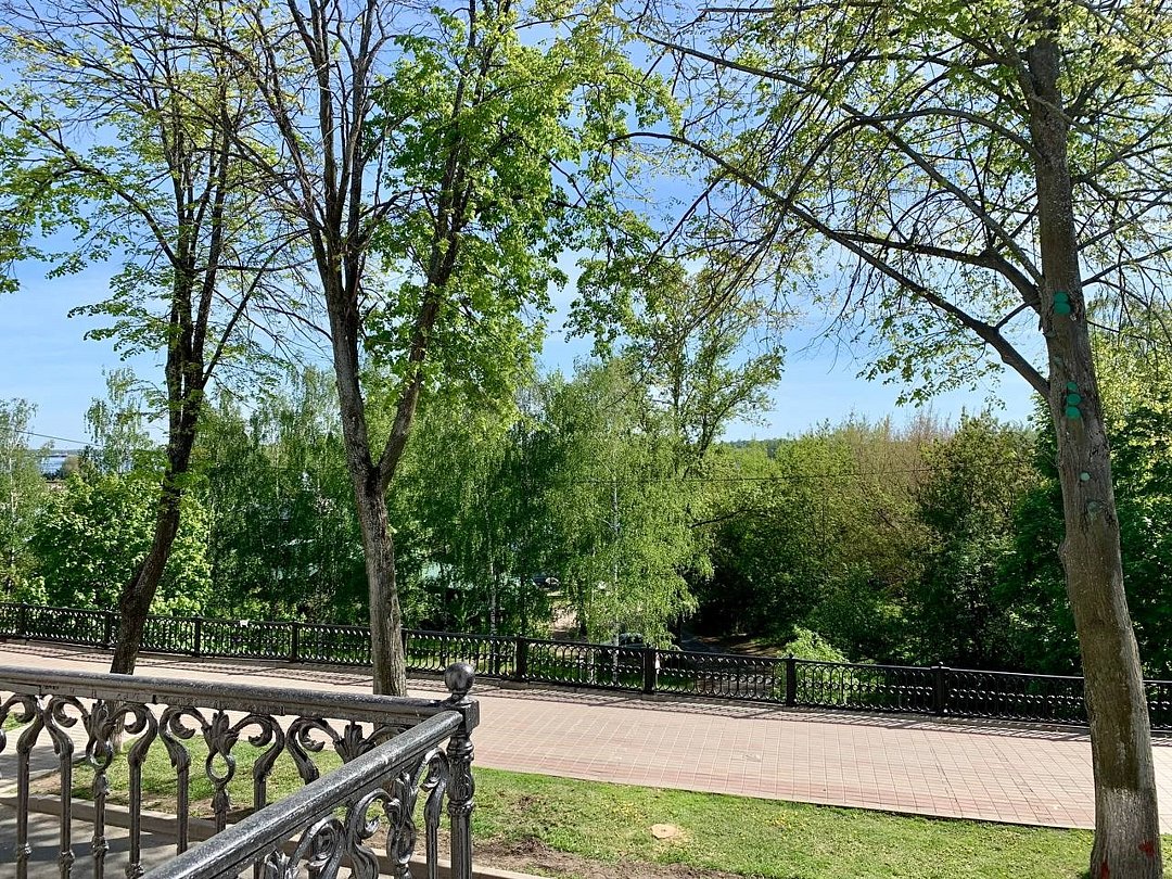 Достоевский, Ярославская область: фото 3