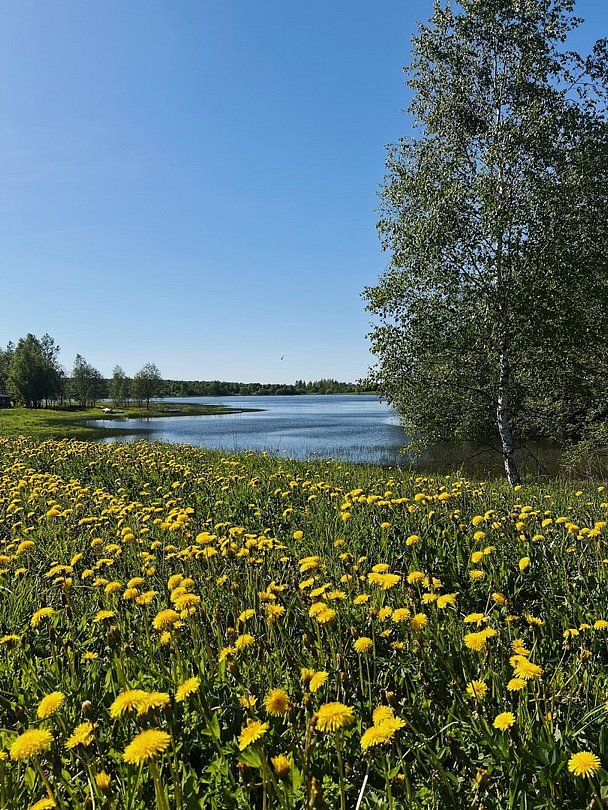 Кемпинг Ферма моей мамы, Московская область, Волоколамск 