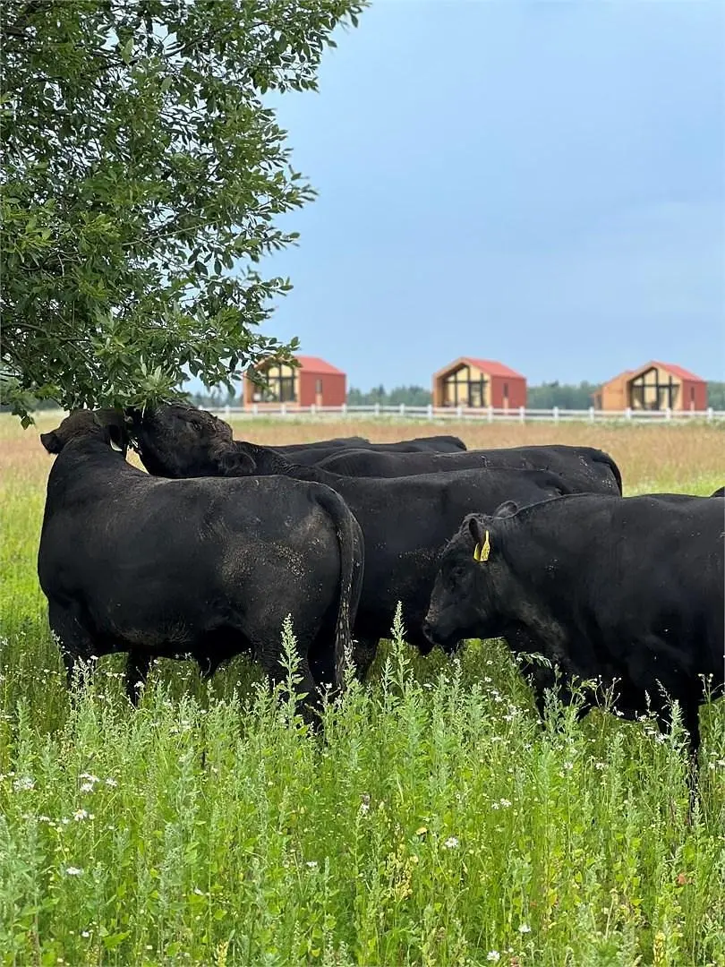Happy Farm, Калужская область: фото 3