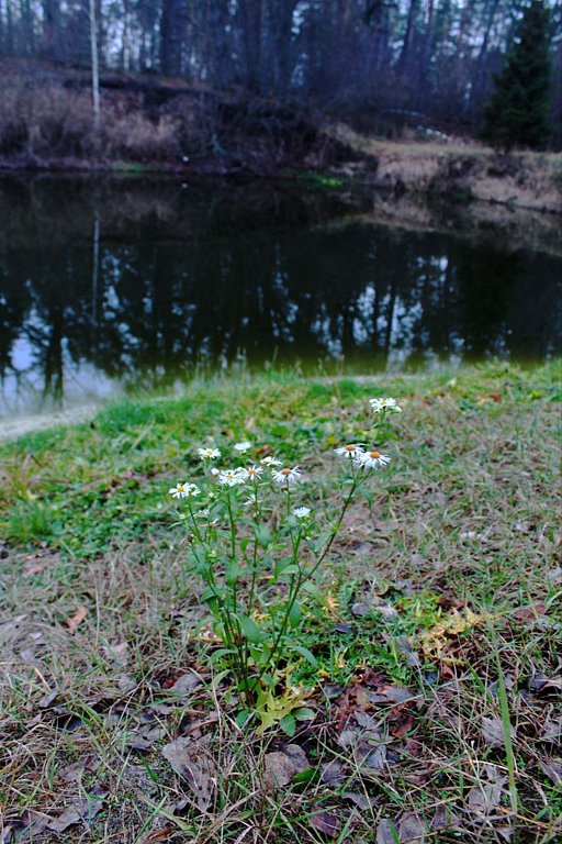 Фото из отзыва от 29.11.2025