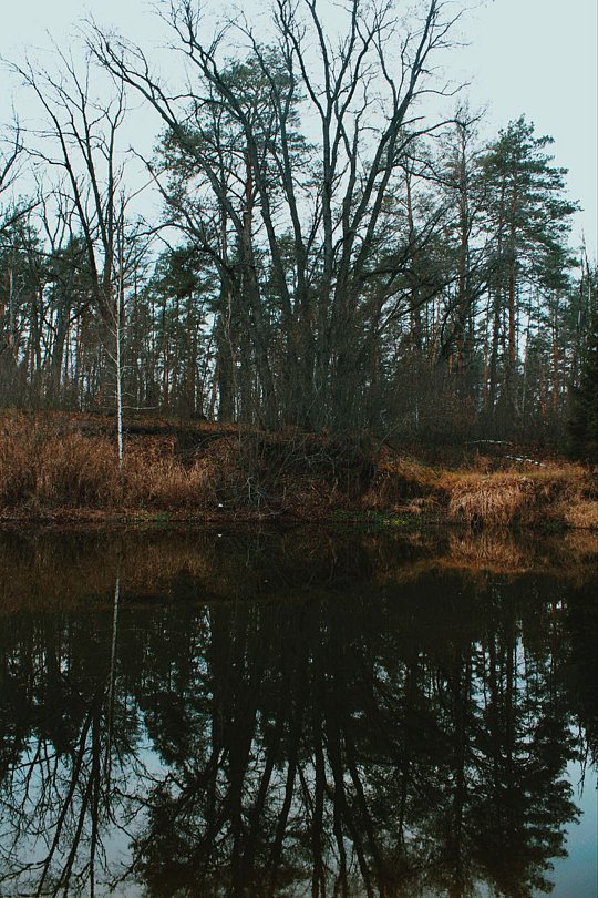 Фото 4 из отзыва о базе отдыха На Маклоке