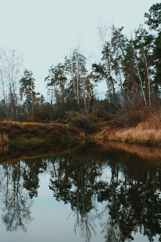 Фото 6 из отзыва о базе отдыха На Маклоке