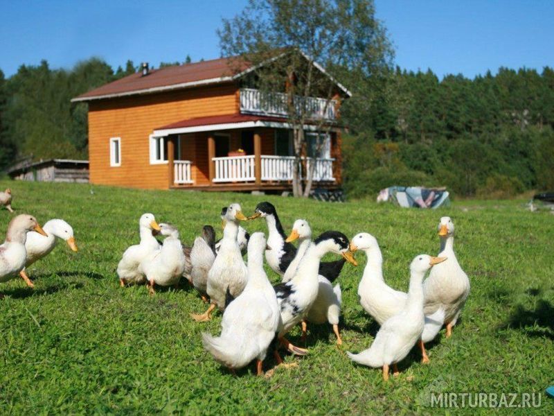 Киселевка, Республика Карелия: фото 5