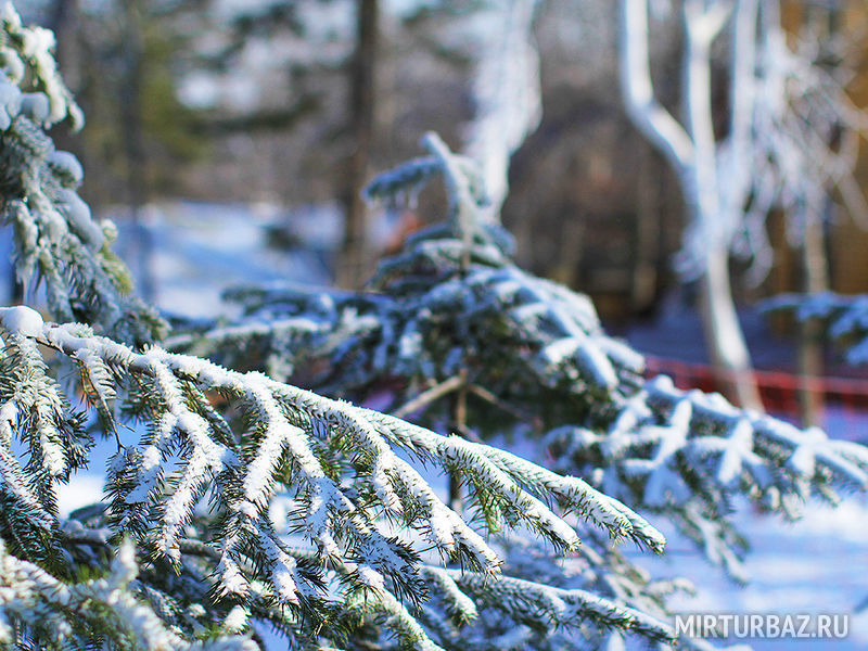 Комета - Кантри Клаб, Приморский край: фото 2