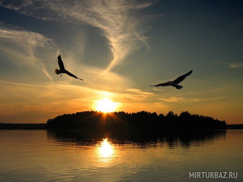 Крестики-нолики, Республика Карелия: фото 5