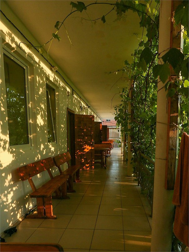 Green oasis Vavilon, Краснодарский край: фото 4