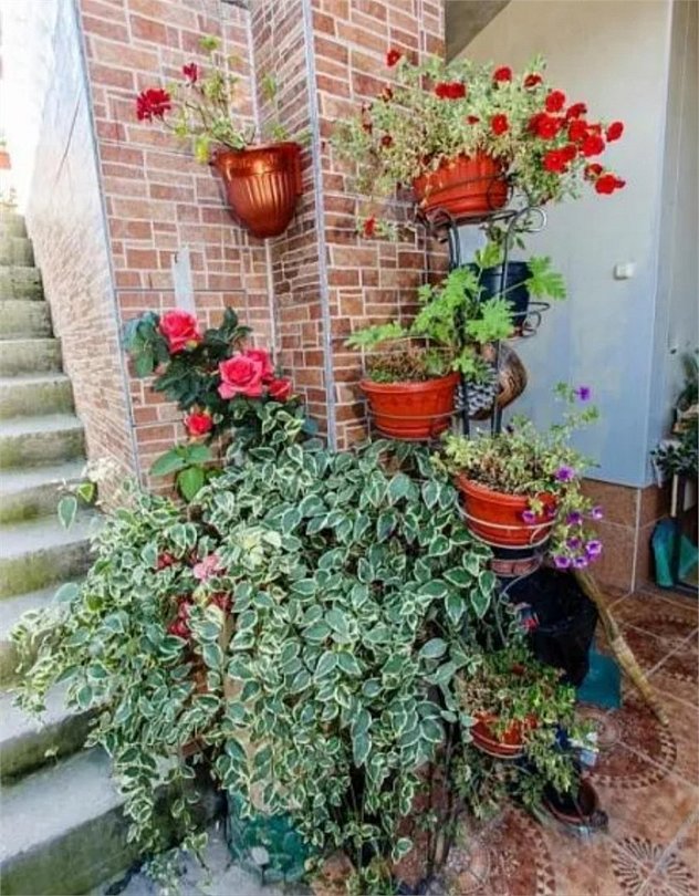 Дом Цветов, Краснодарский край: фото 3