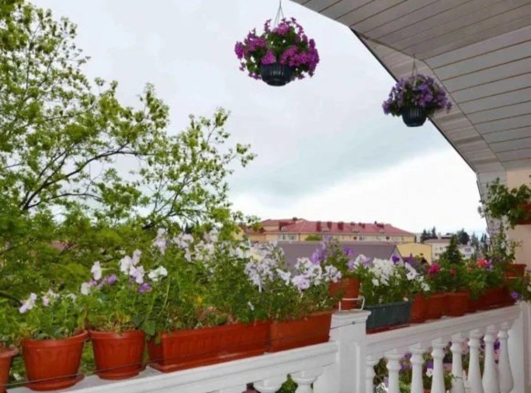 Дом Цветов, Краснодарский край: фото 4