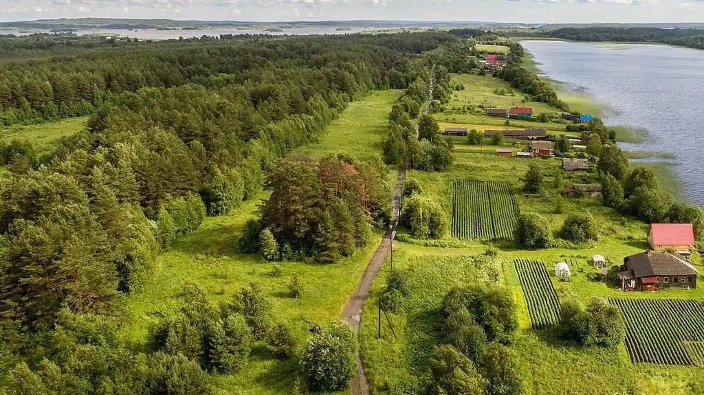 Дом у озера , Республика Карелия: фото 4