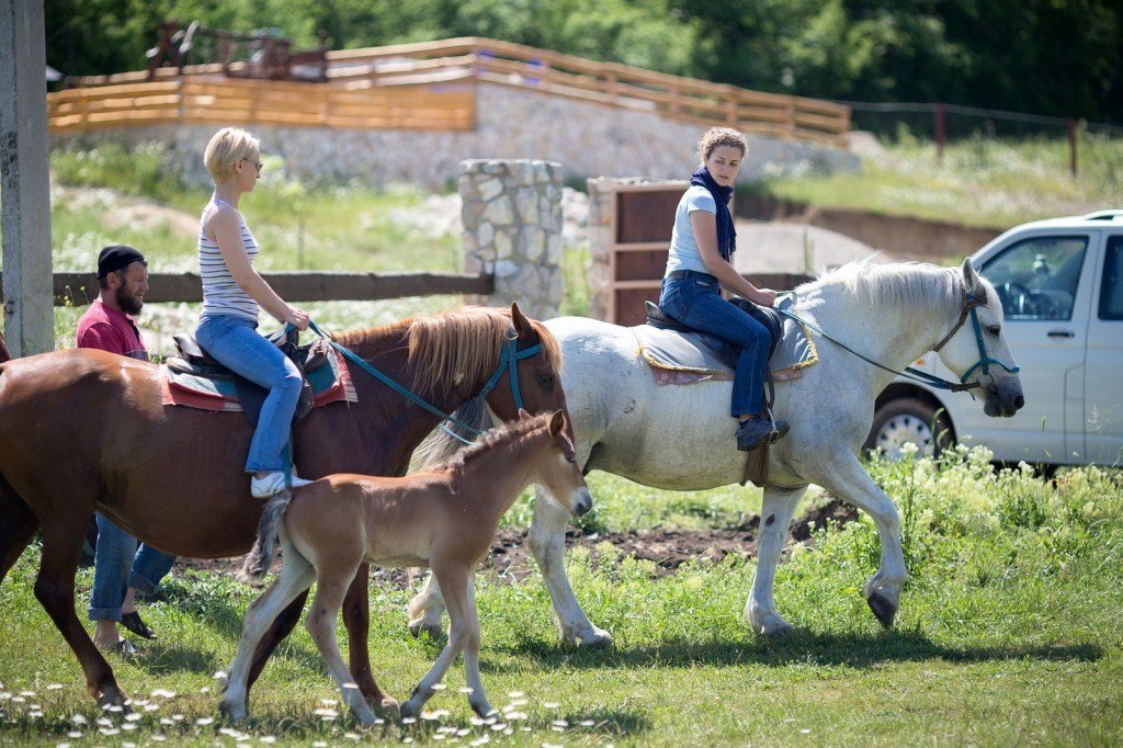 Усадьба Кутлер, Крым: фото 5