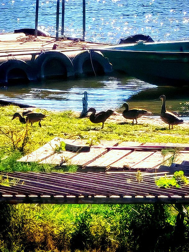 Кигач хаус, Астраханская область: фото 4