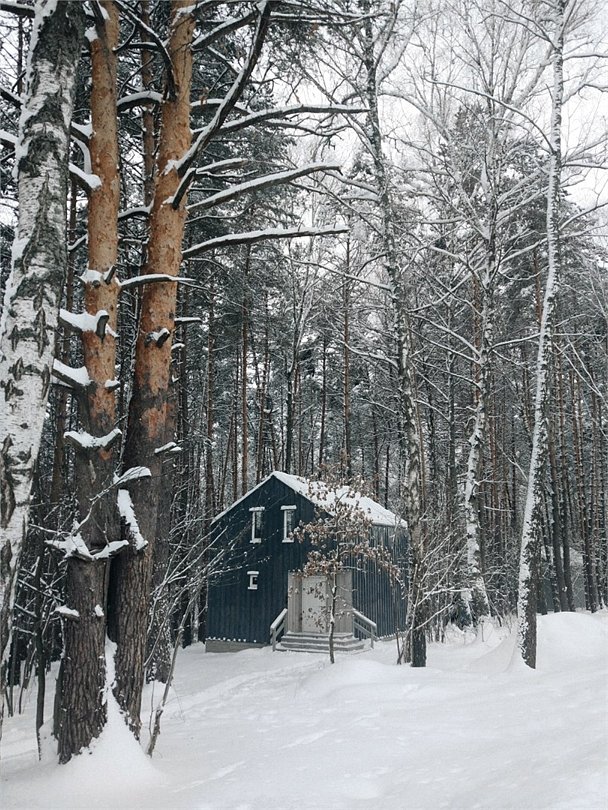 Скрытово.Дачи, Тульская область: фото 2