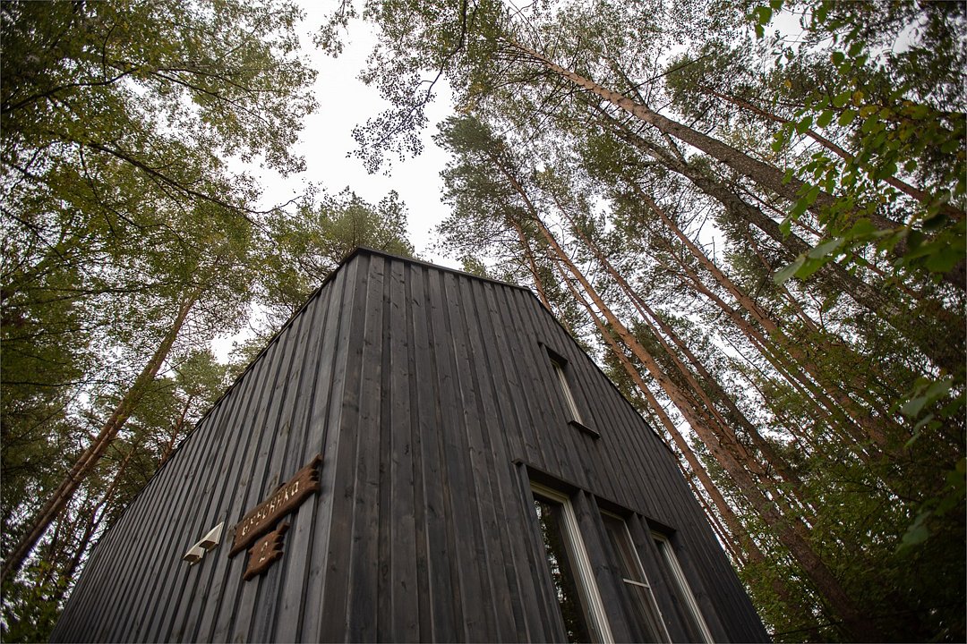 Скрытово.Дачи, Тульская область: фото 3