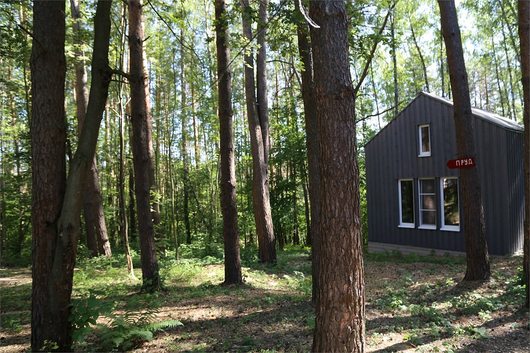 Скрытово.Дачи, Тульская область: фото 5