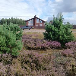 Частный дом Дуплекс на Первой Линии Селигере