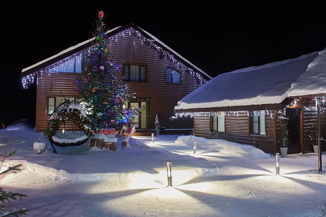 Рыжий кот, Горный Алтай (Республика Алтай): фото 3