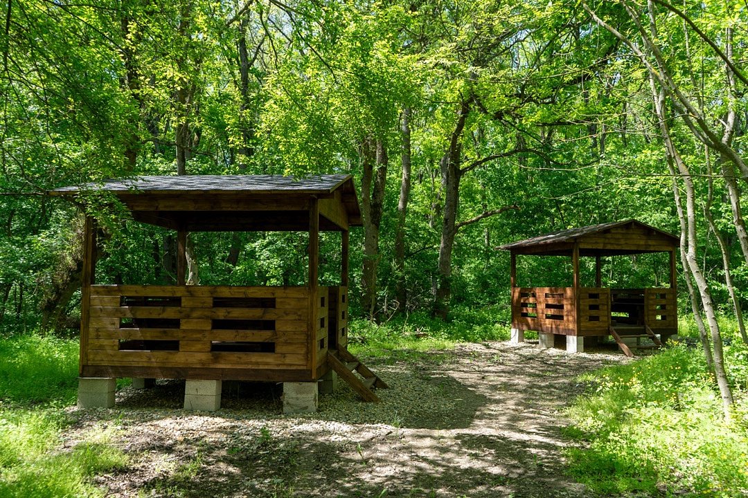 Balance, Республика Адыгея: фото 4