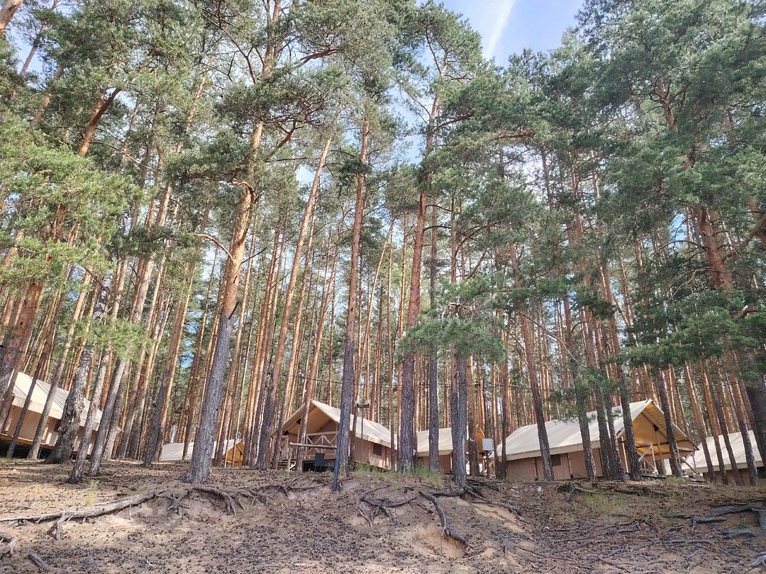 Edimonovo Glamp, Тверская область: фото 2