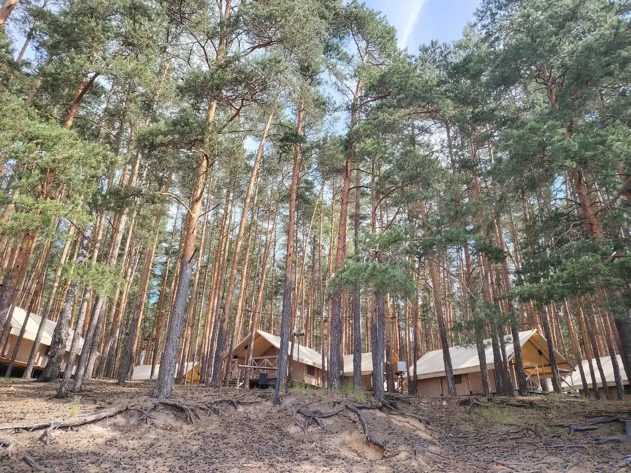 Edimonovo Glamp, Тверская область: фото 2