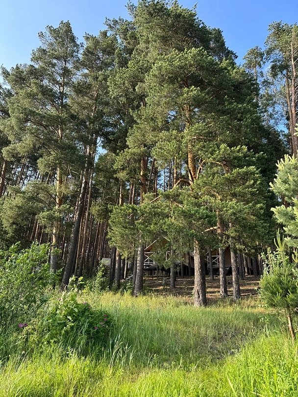 Edimonovo Glamp, Тверская область: фото 3