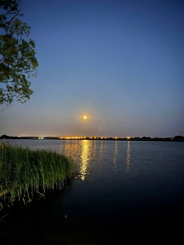 Edimonovo Glamp, Тверская область: фото 4